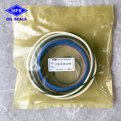 617-9300 Hydraulic Cylinder Seal kits
