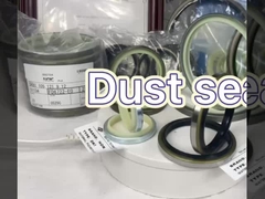 Sigillo di polvere di gomma DSI LBI LBH VAY DH Diverso tipo resistente alle alte temperature