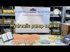 Kit di tensione del pompo idraulico per pompe Rexroth